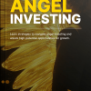 Angel Investing