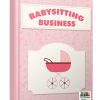 Babysitting Business