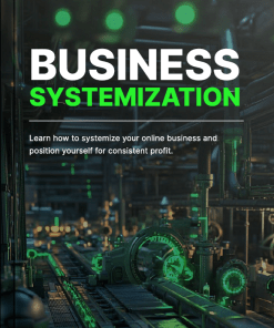 Business Systemization