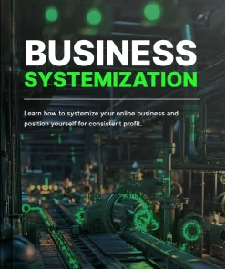Business Systemization