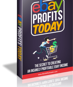 Ebay Profits