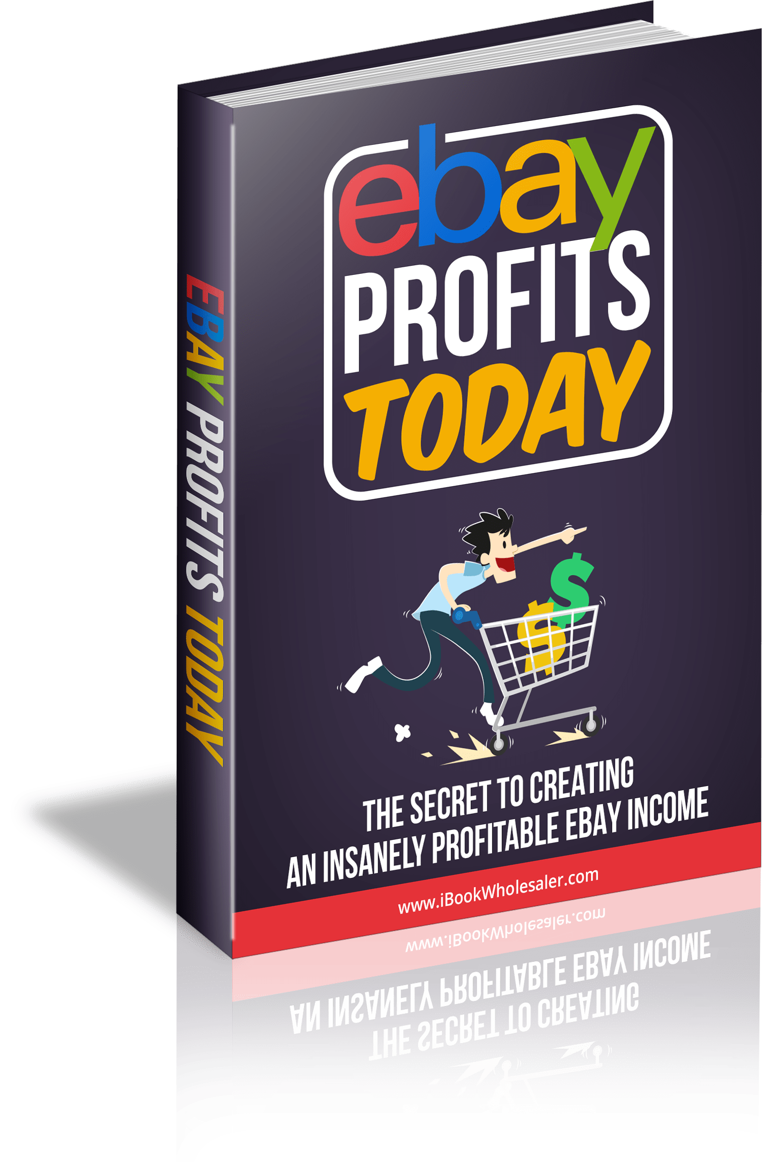 Ebay Profits