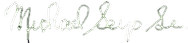 MS signature in white